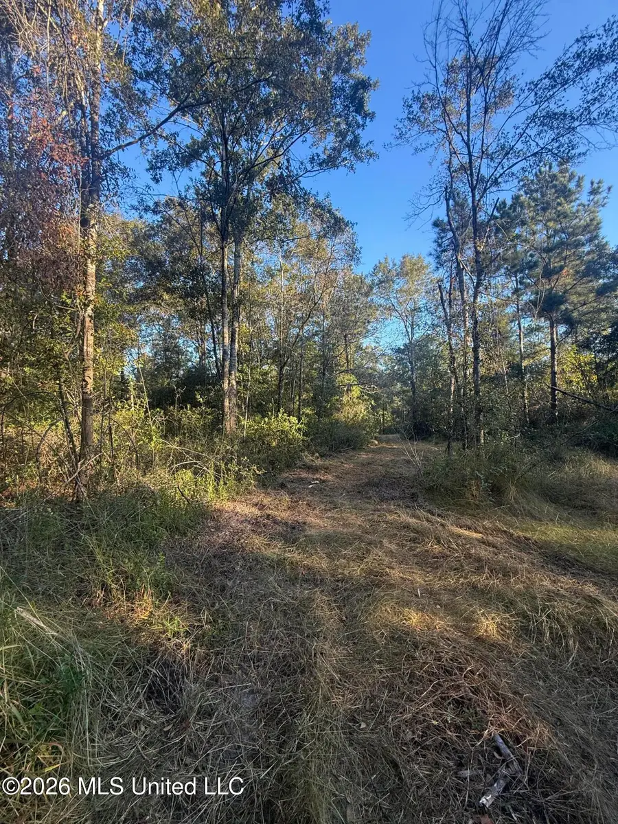 Lot 2 Big Point Road, Moss Point, MS 39562 - #3