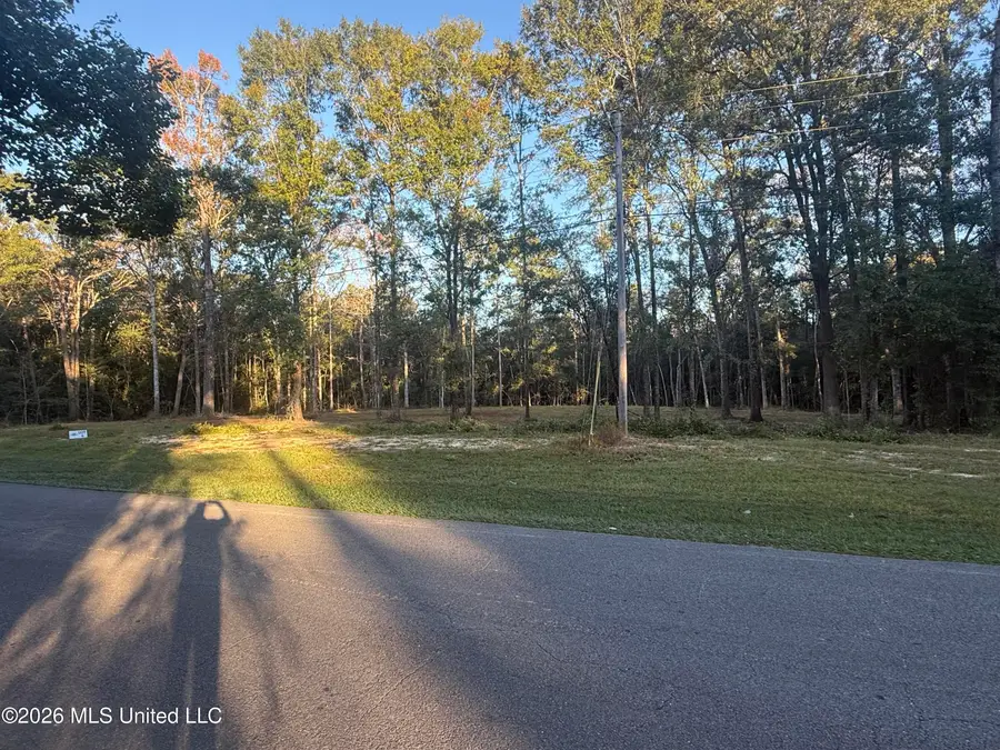 Lot 4 Big Point Road, Moss Point, MS 39562 - #2