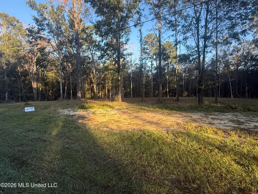 Lot 4 Big Point Road, Moss Point, MS 39562 - #3