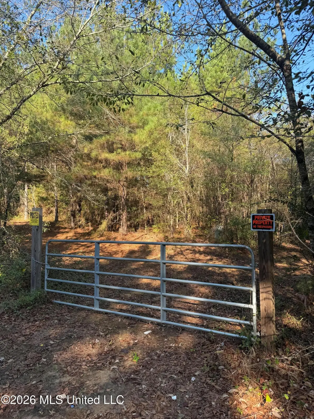 Shiloh Church Road, De Kalb, MS 39328 - #1