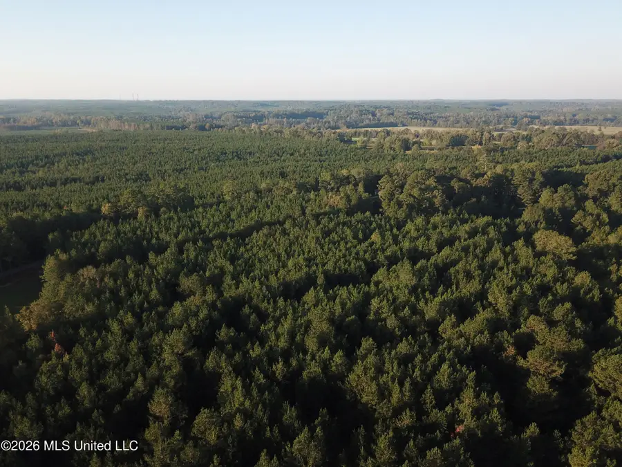 Shiloh Church Road, De Kalb, MS 39328 - #3