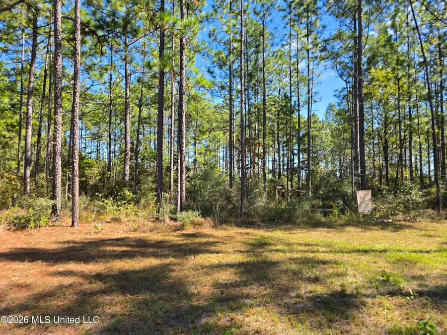 Old Hwy 49, Gulfport, MS 39503 - #3