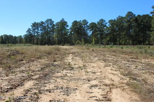 S Highway 51 Highway, Brookhaven, MS 39601
