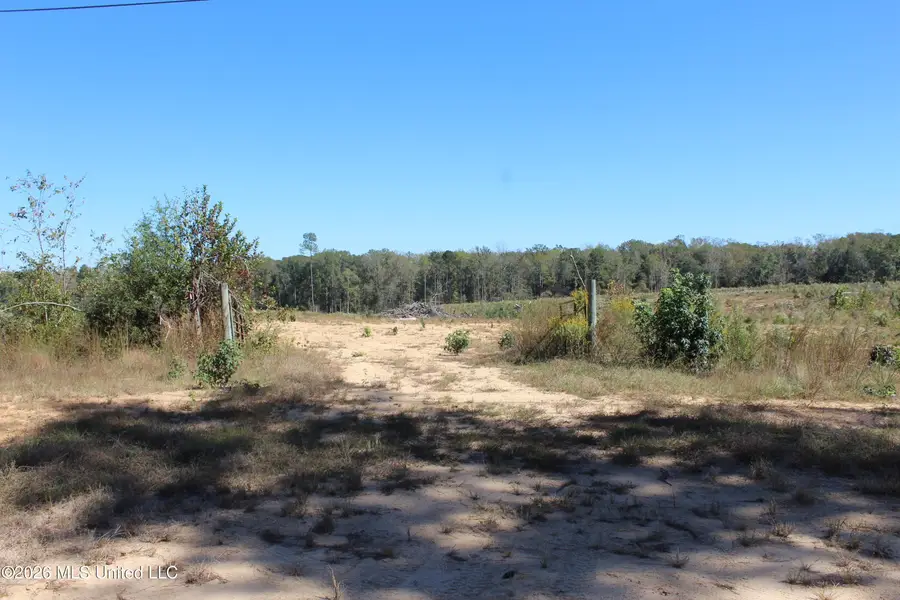 S Highway 51 Highway, Brookhaven, MS 39601 - #2