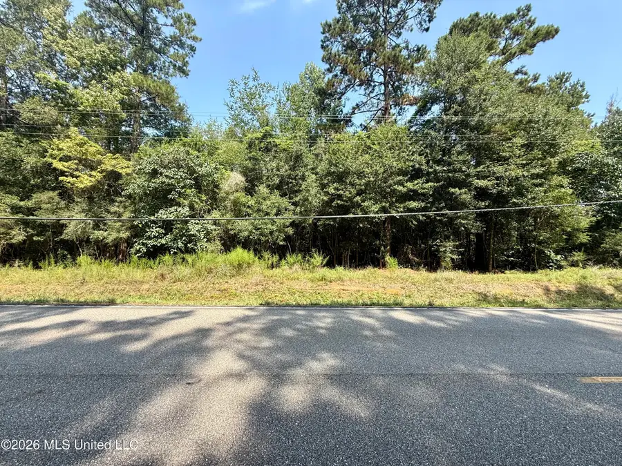 Highway 1083, Bush, LA 70431 - #3