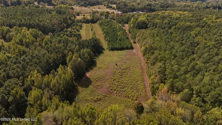 Bluff Road, Hernando, MS 38632 - #2