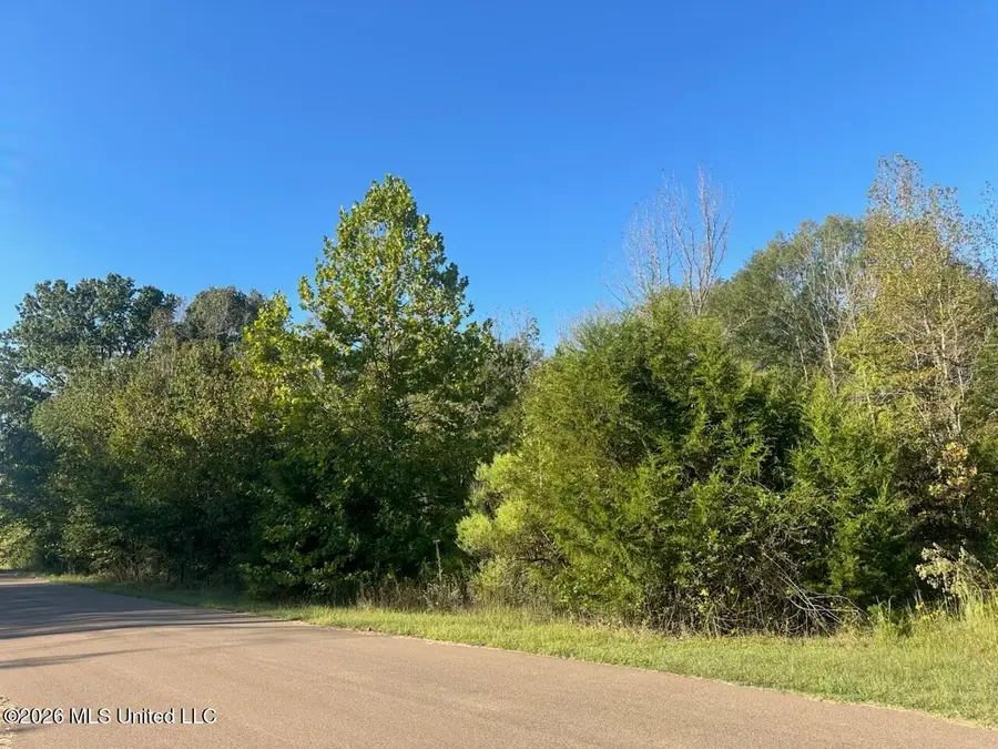 Lot 57 Shamrock Loop, Byhalia, MS 38611 - #2