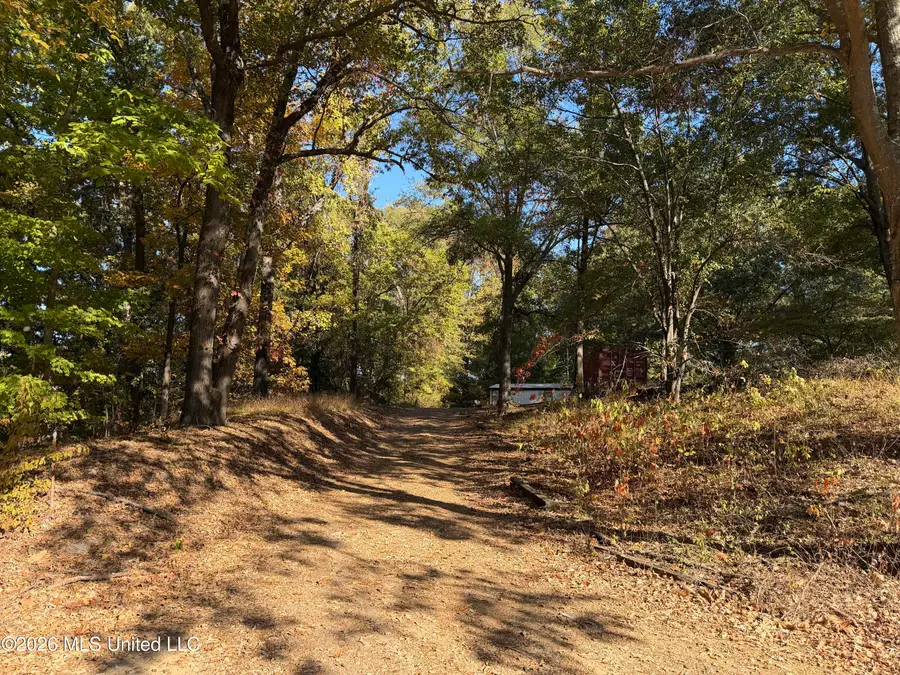 11286 Black Bear Cove, Hernando, MS 38632 - #2