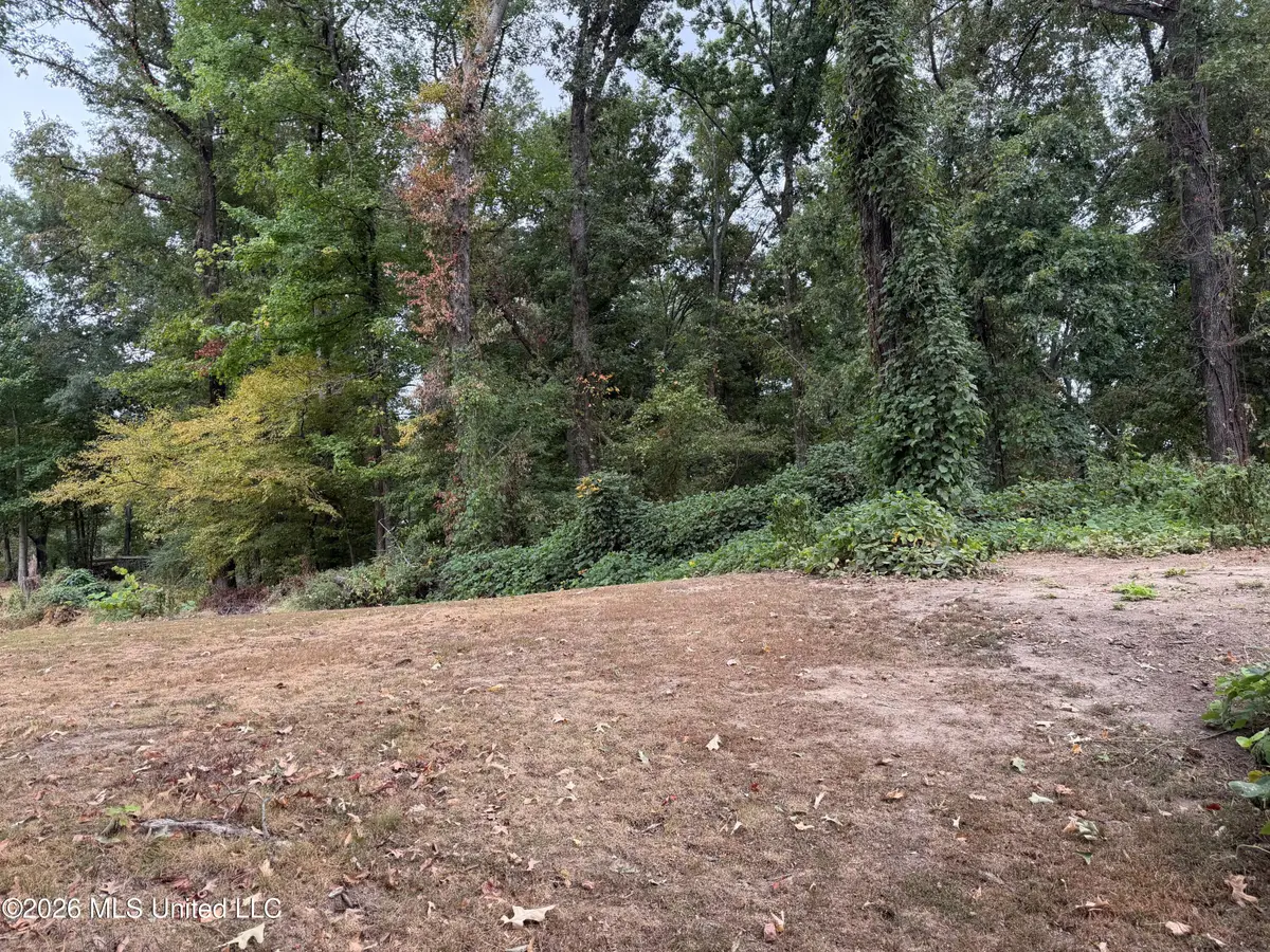11287 Beechwood Ridge Cove, Hernando, MS 38632 - #1