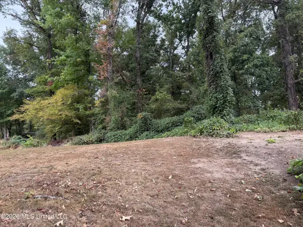 11287 Beechwood Ridge Cove, Hernando, MS 38632