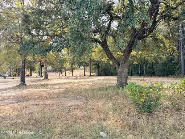 8.75ac Mann Lane, Lucedale, MS 39452