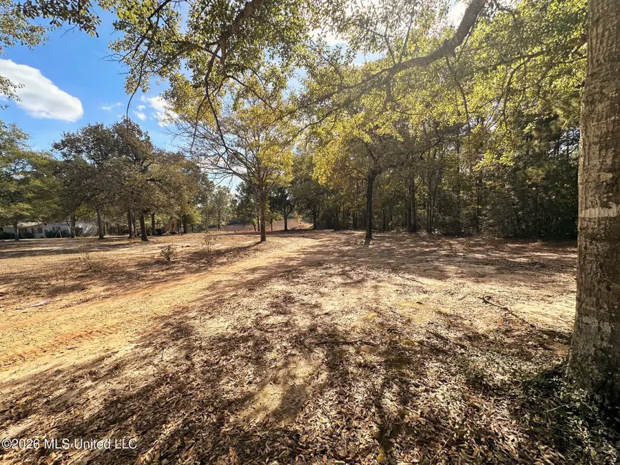 8.75ac Mann Lane, Lucedale, MS 39452 - #3