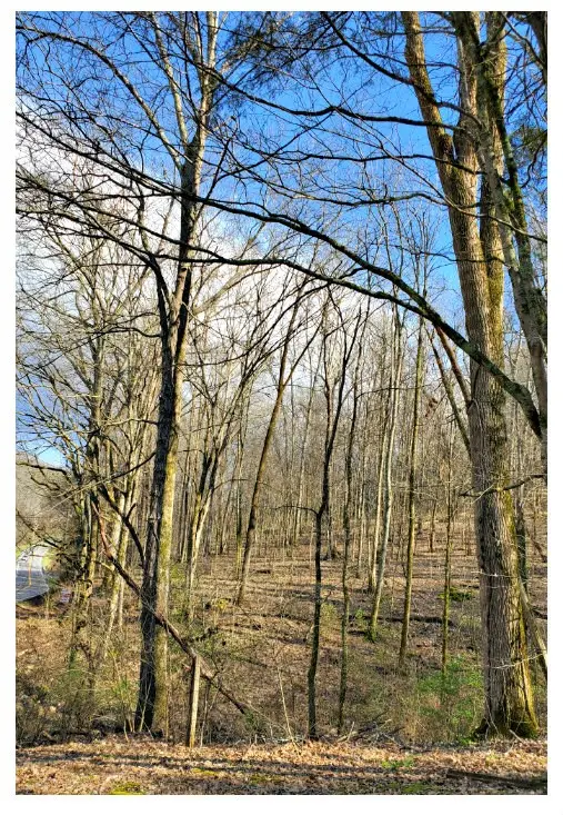 8171 Mccrory Ln, Nashville, TN 37221