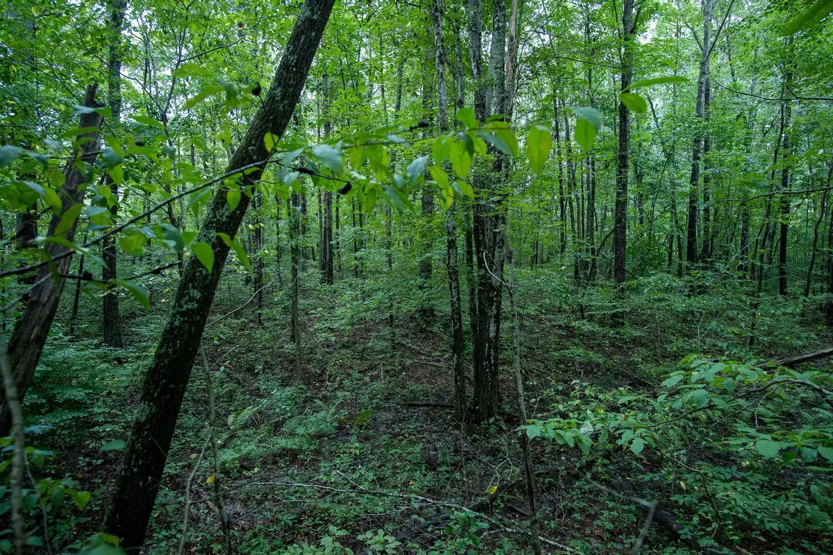 207 Saint George Dr, Crossville, TN 38558 - Image #1