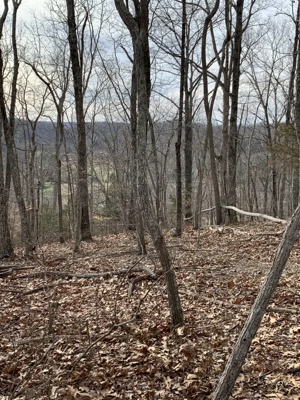 0 Hester Beasley Rd, Nashville, TN 37221