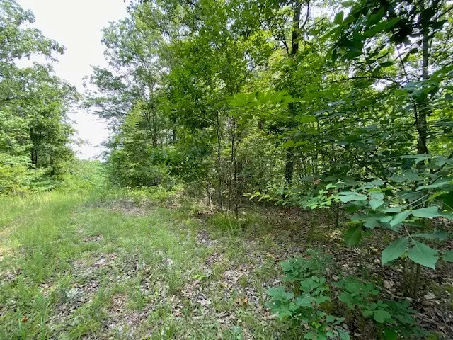 0 Eagle Nest Ln, Big Sandy, TN 38221 - #2