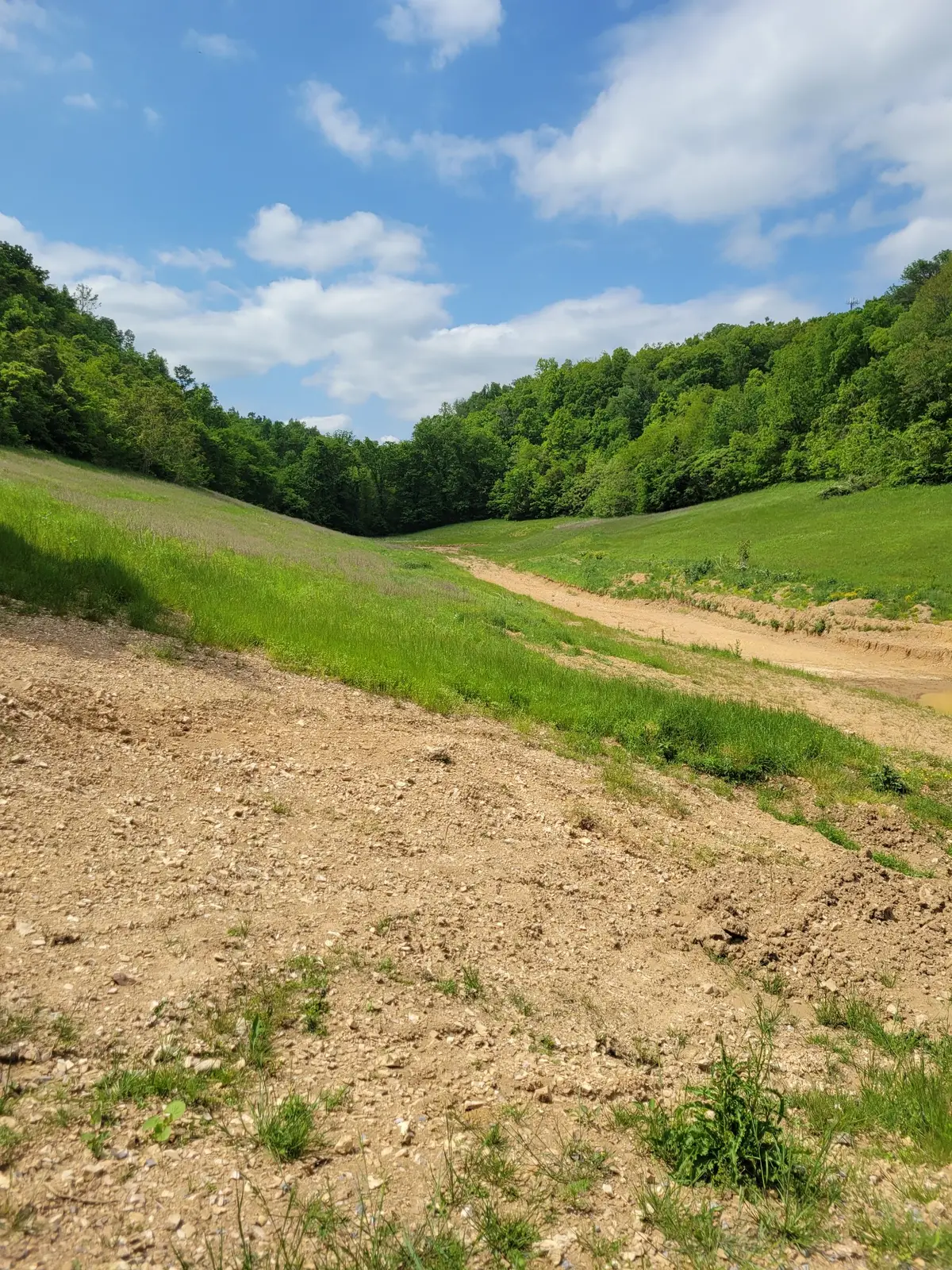 0 Rivendell, Beechgrove, TN 37018 - #1