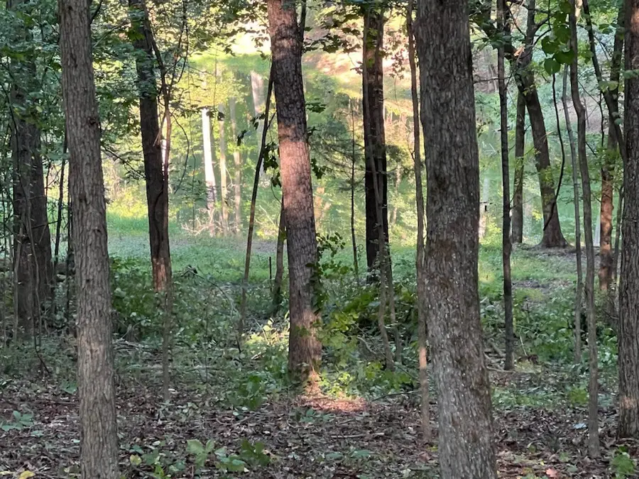 #3