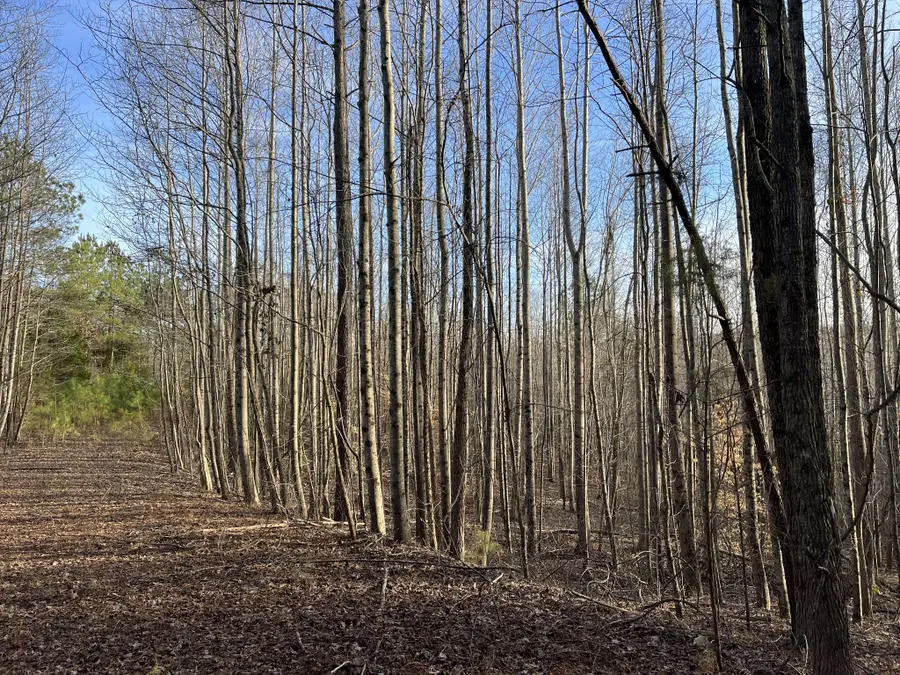 #3