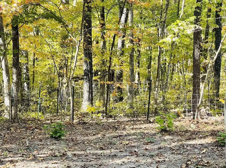 #3