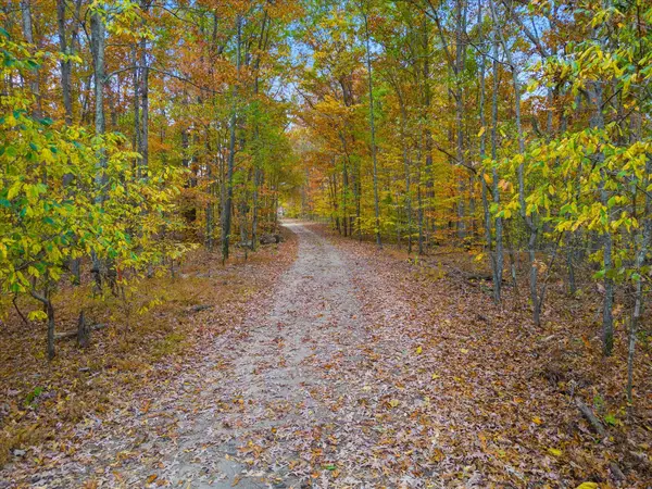 0 Wallace Road, Fairview, TN 37062