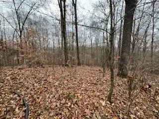 #3