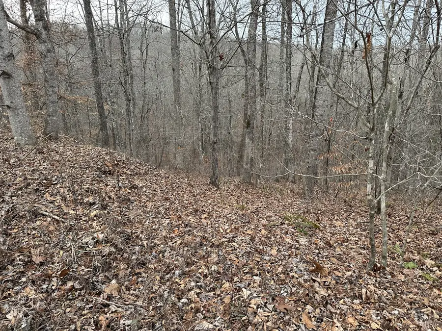 11071 River Dr, Crawford, TN 38554 - Image #2