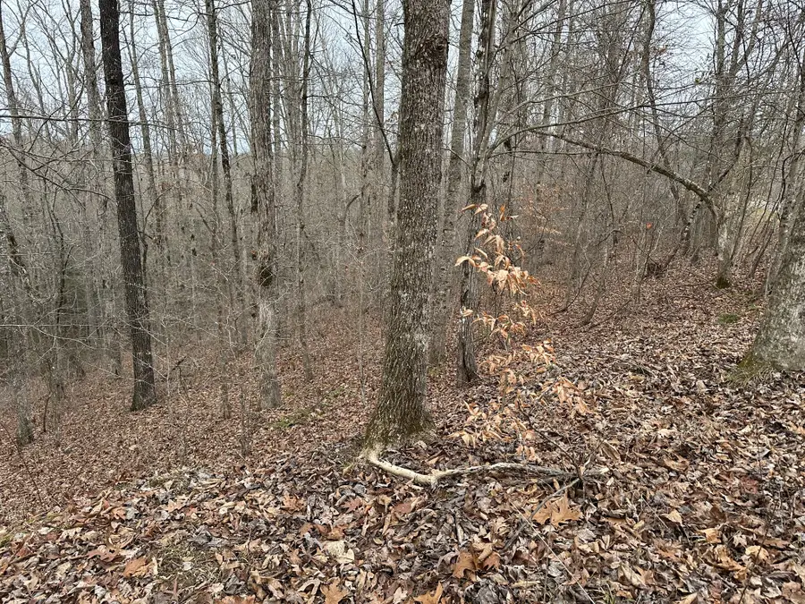 11071 River Dr, Crawford, TN 38554 - Image #3