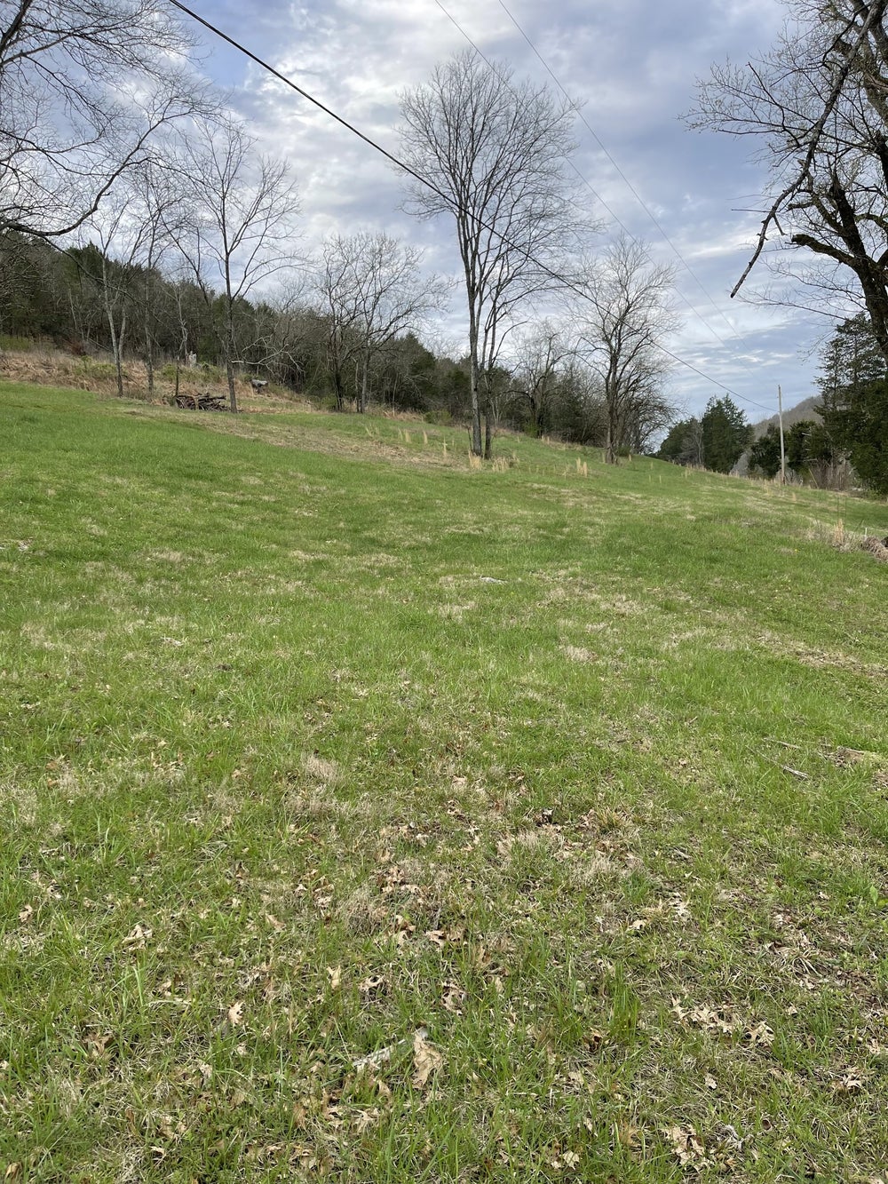 3310 Dixon Creek Rd, Dixon Springs, TN 37057 BHGRE