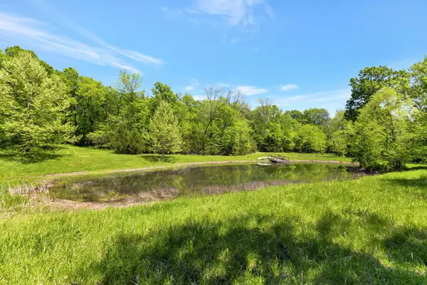 10515 Paw Paw Springs Rd, Arrington, TN 37014