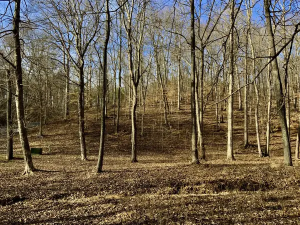 0 Forrest Crossing, Waverly, TN 37185