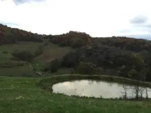 #2