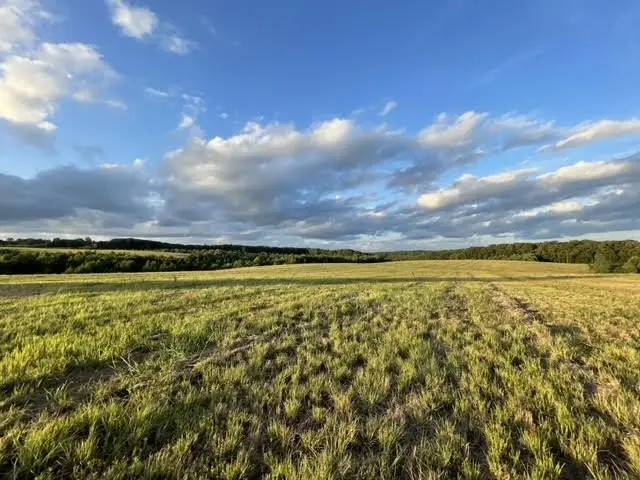 2505 Summer Oaks Cir, Summertown, TN 38483 - Image #2