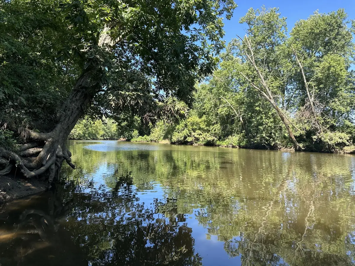 0 Whitefield Lane, Carthage, TN 37030 - Image #1