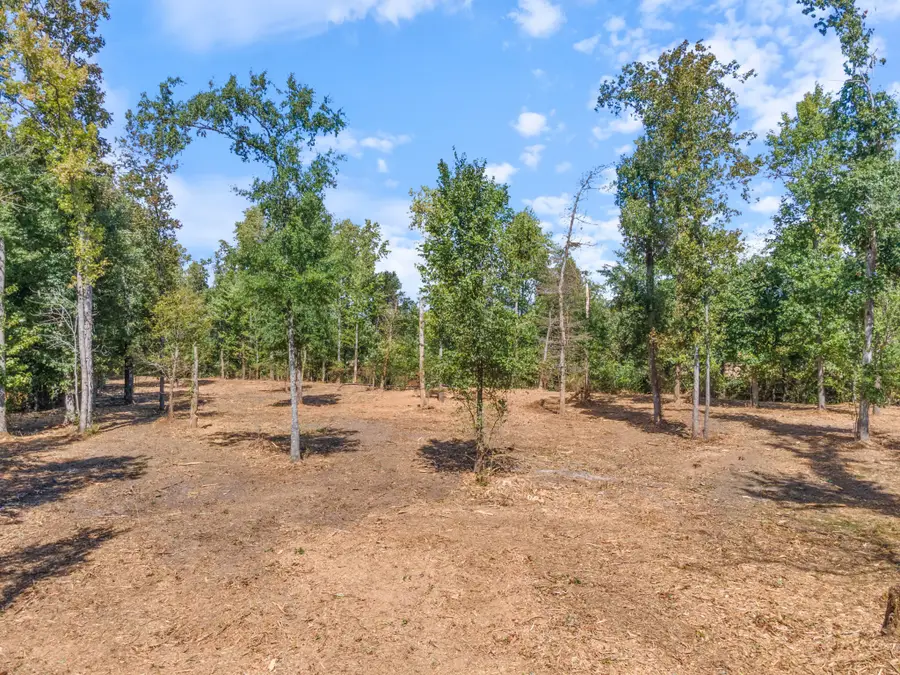 0 Spur Road, Decherd, TN 37324 - #3