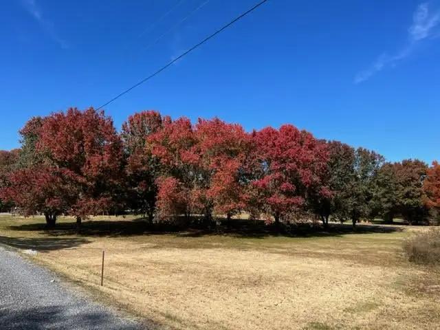 9733 Snow Hill Road, Ooltewah, TN 37363 - Image #3