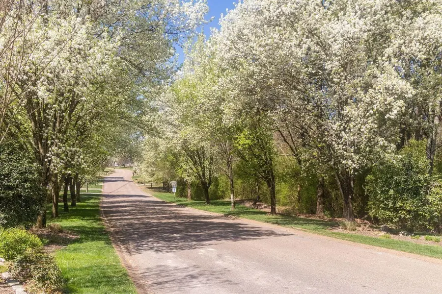 7215 Flagstone Drive, Ooltewah, TN 37363 - Image #2