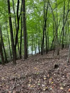 #3