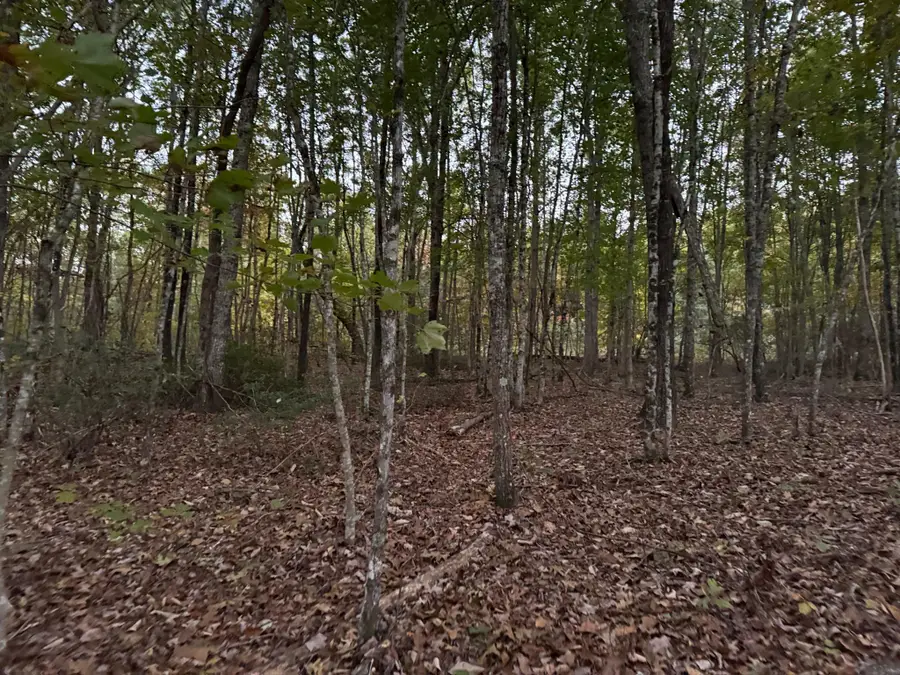 0 Panther Falls Rd, Wilder, TN 38589 - Image #2
