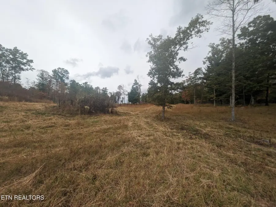 370 Perkins Trl, Deer Lodge, TN 37726 - Image #2