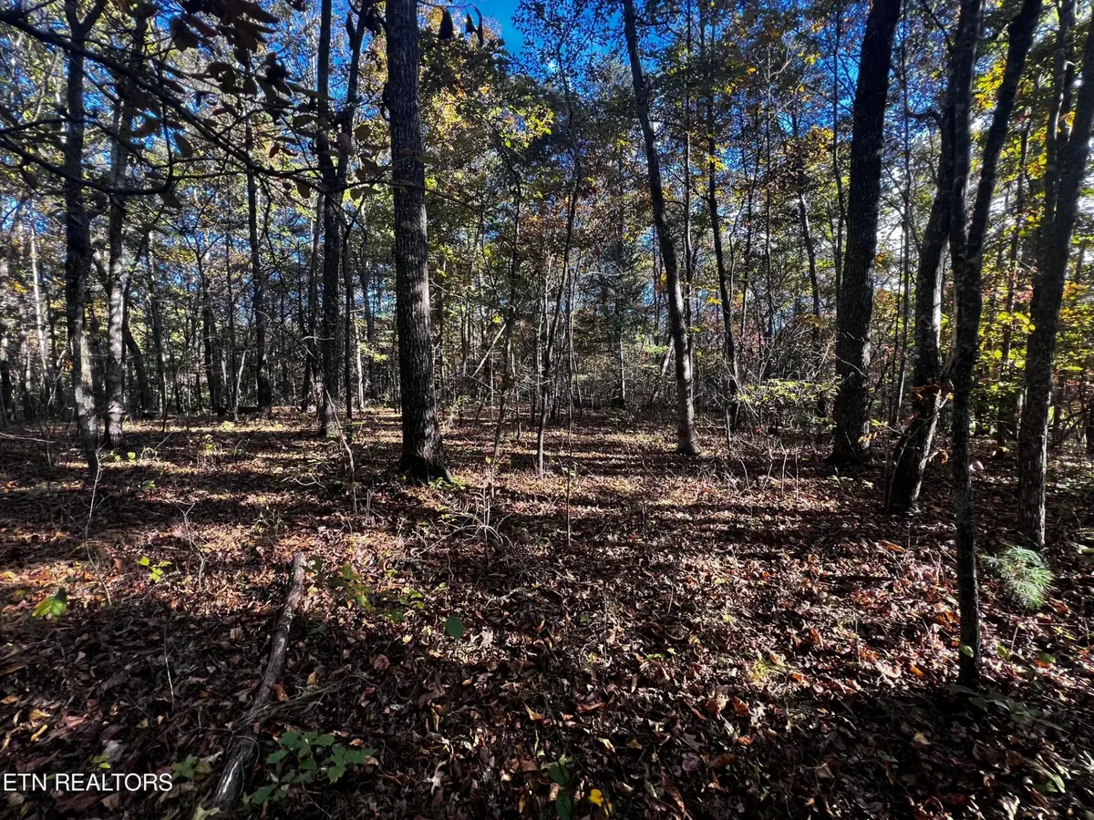 1320 Black Cloud Dr, Crossville, TN 38572 - Image #1