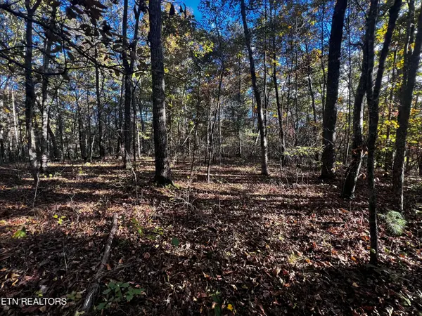 1320 Black Cloud Dr, Crossville, TN 38572