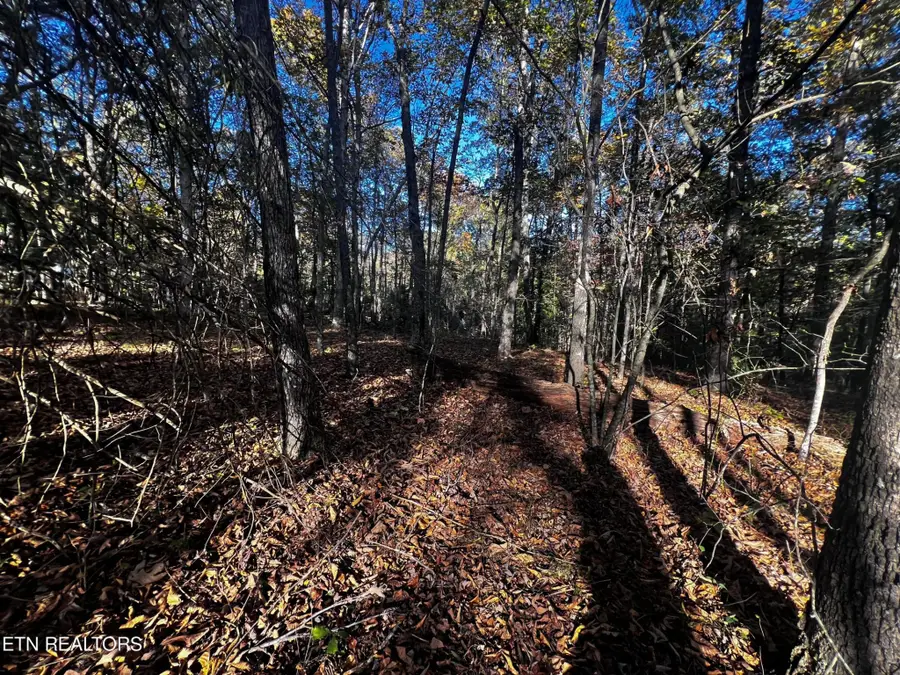 1320 Black Cloud Dr, Crossville, TN 38572 - Image #2