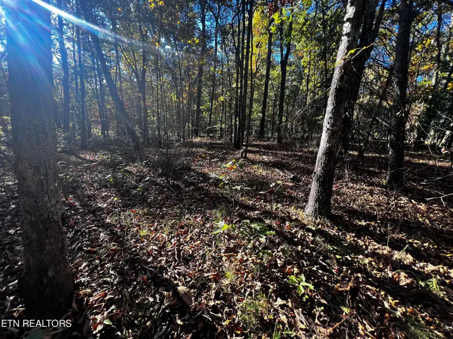 1320 Black Cloud Dr, Crossville, TN 38572 - Image #3