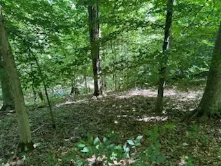 #3