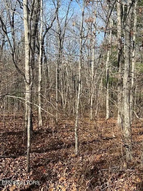 9142 Weketa Cir, Crossville, TN 38572 - Image #2