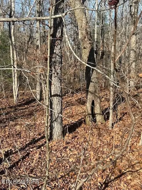 9142 Weketa Cir, Crossville, TN 38572 - Image #3