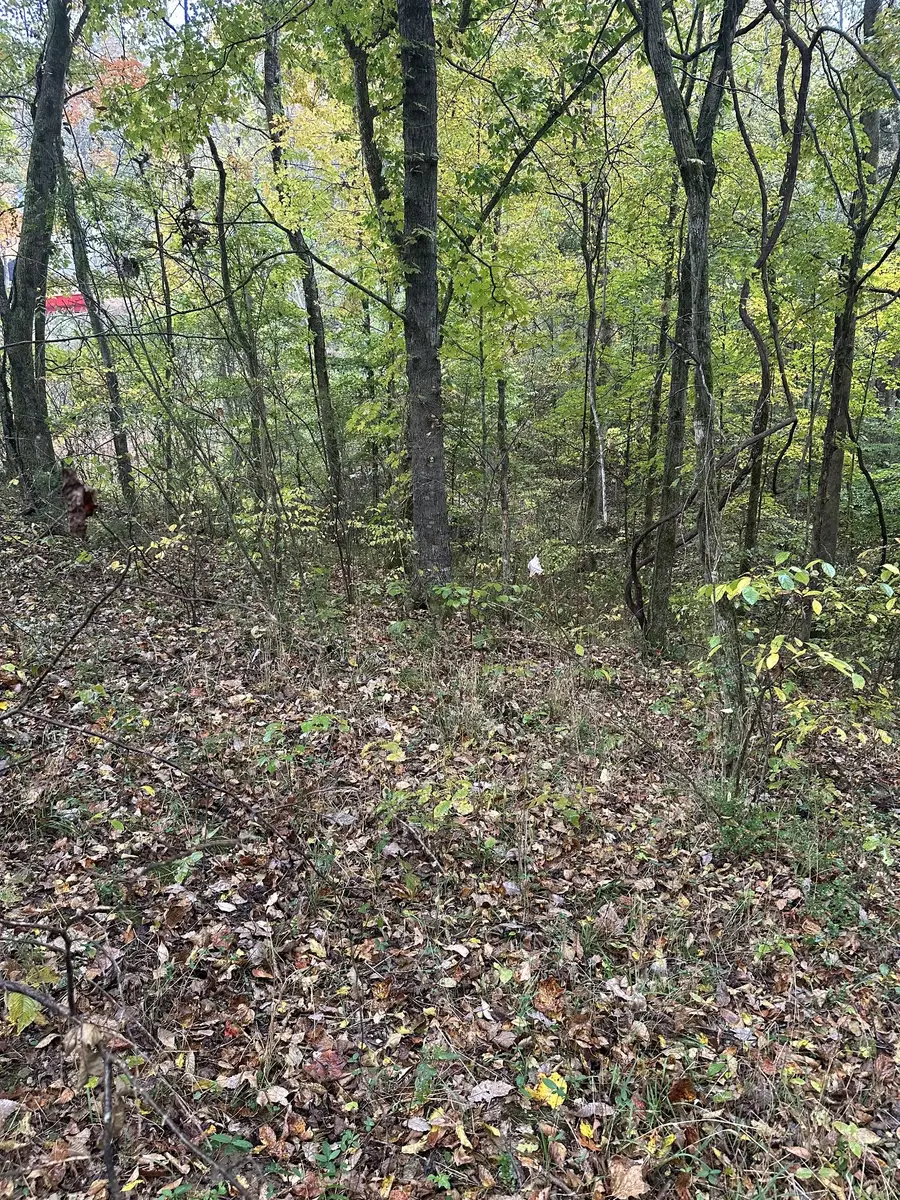 #3