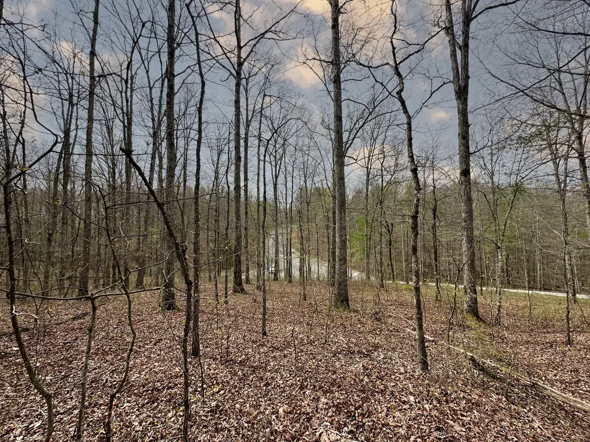 0 Ridgewood Drive, Mc Ewen, TN 37101 - Image #1