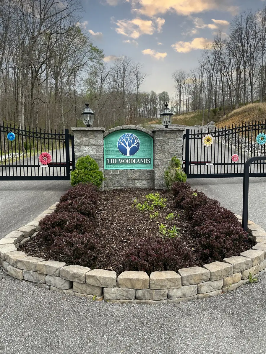 0 Ridgewood Drive, Mc Ewen, TN 37101 - Image #3